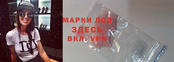 гидра Бородино