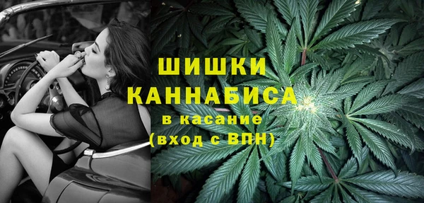 гидра Бородино