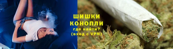 гидра Бородино