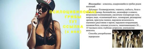 гидра Бородино