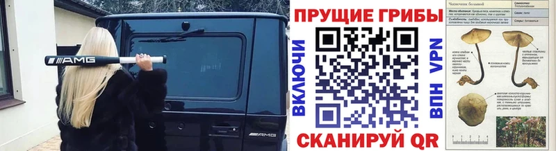 Купить  Шацк  Псилоцибиновые грибы GOLDEN TEACHER 